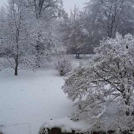 Dimora 1690 * Savigliano